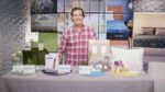 Pet Expert Kristen Levine Offers Pet Health, Safety and Wellness Tips for National Pet Month on TipsOnTV